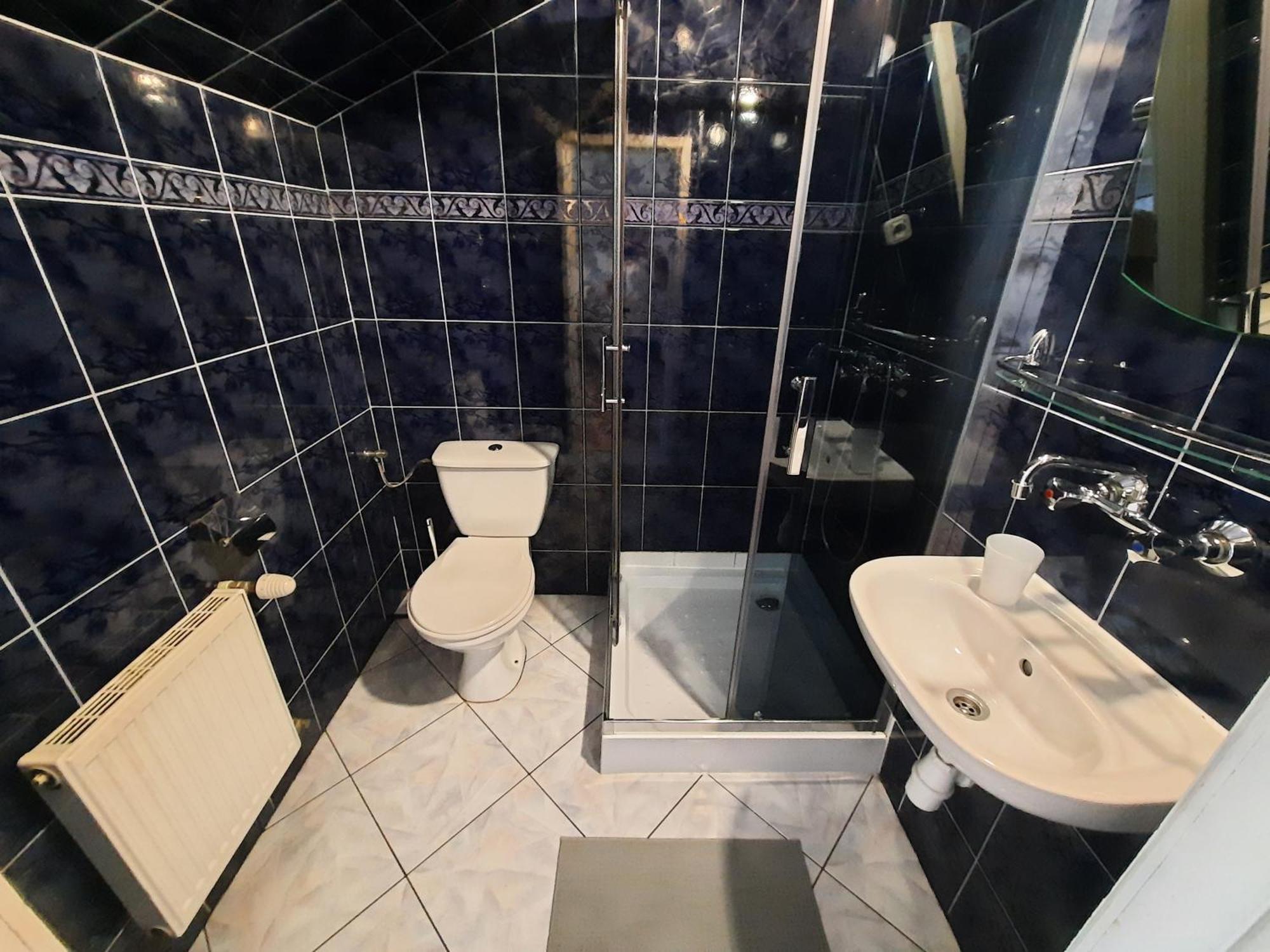 Villa Gronik ザコパネ エクステリア 写真